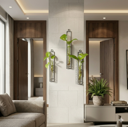 Indoor Plant Decor