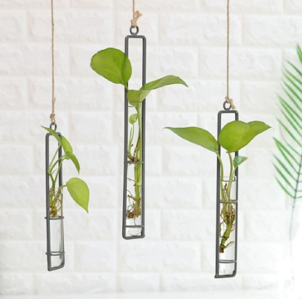 Luxury Home Accessories, Money Plant Holder, Modern Wall Art, Test Tube Vase, Minimalist Decor.