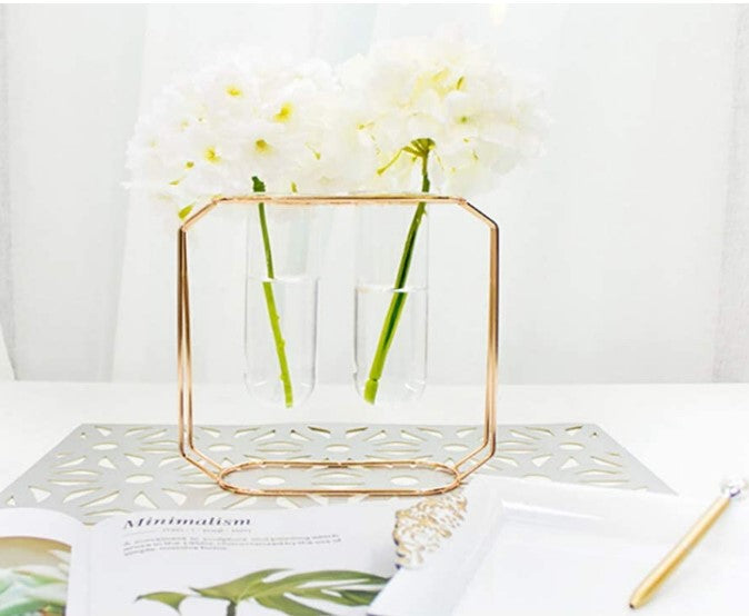 Double tube gold vase, hydroponic plant holder, nordic flower vase, double glass tube, metal frame decor, modern home styling, indoor plant stand, gold plated flower holder, tabletop flower vase, luxury decor accessories, twin glass vase, geometric plant stand, minimalist home decor, office desk plant, flower arrangement stand, decorative glass tubes, luxury gifting items, gold metal art, hydroponic propagation station, stylish interior decor.