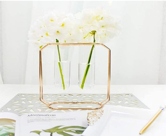 Double tube gold vase, hydroponic plant holder, nordic flower vase, double glass tube, metal frame decor, modern home styling, indoor plant stand, gold plated flower holder, tabletop flower vase, luxury decor accessories, twin glass vase, geometric plant stand, minimalist home decor, office desk plant, flower arrangement stand, decorative glass tubes, luxury gifting items, gold metal art, hydroponic propagation station, stylish interior decor.